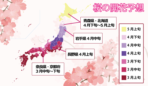 桜開花予想map